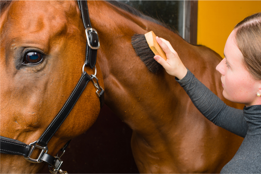 Pure Steed best horse shampoo for sensitive skin