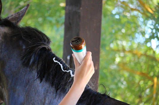 Pure Steed post-biotic horse grooming
