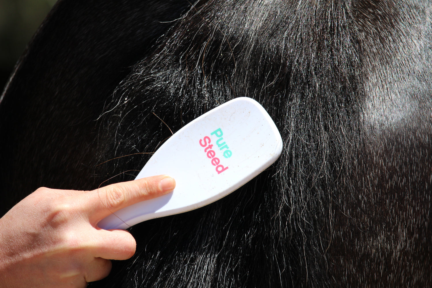 Learn more about Pure Steed horse grooming best horse shampoo