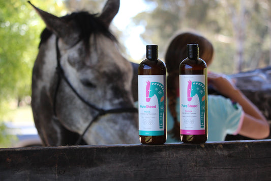 Pure Steed luxury horse grooming