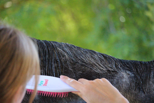 Pure Steed best horse shampoo for sensitive skin