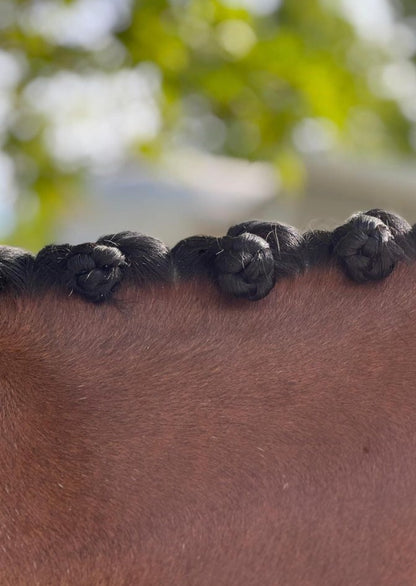 Mane Aid