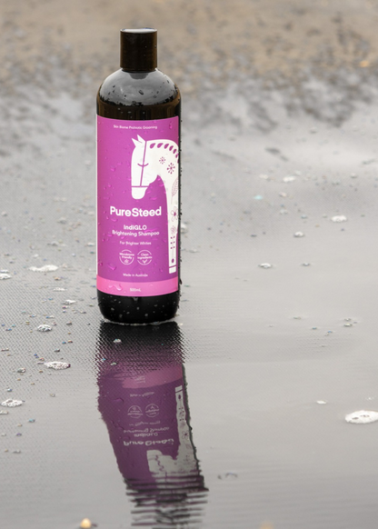 IndiGLO Brightening Shampoo