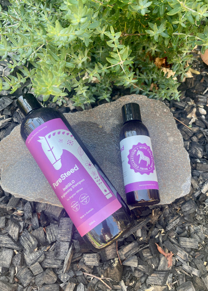 IndiGLO Brightening Shampoo